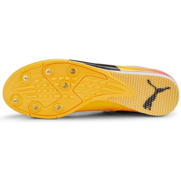 Puma evoSpeed Triple Jump 10 377003 01 Sole